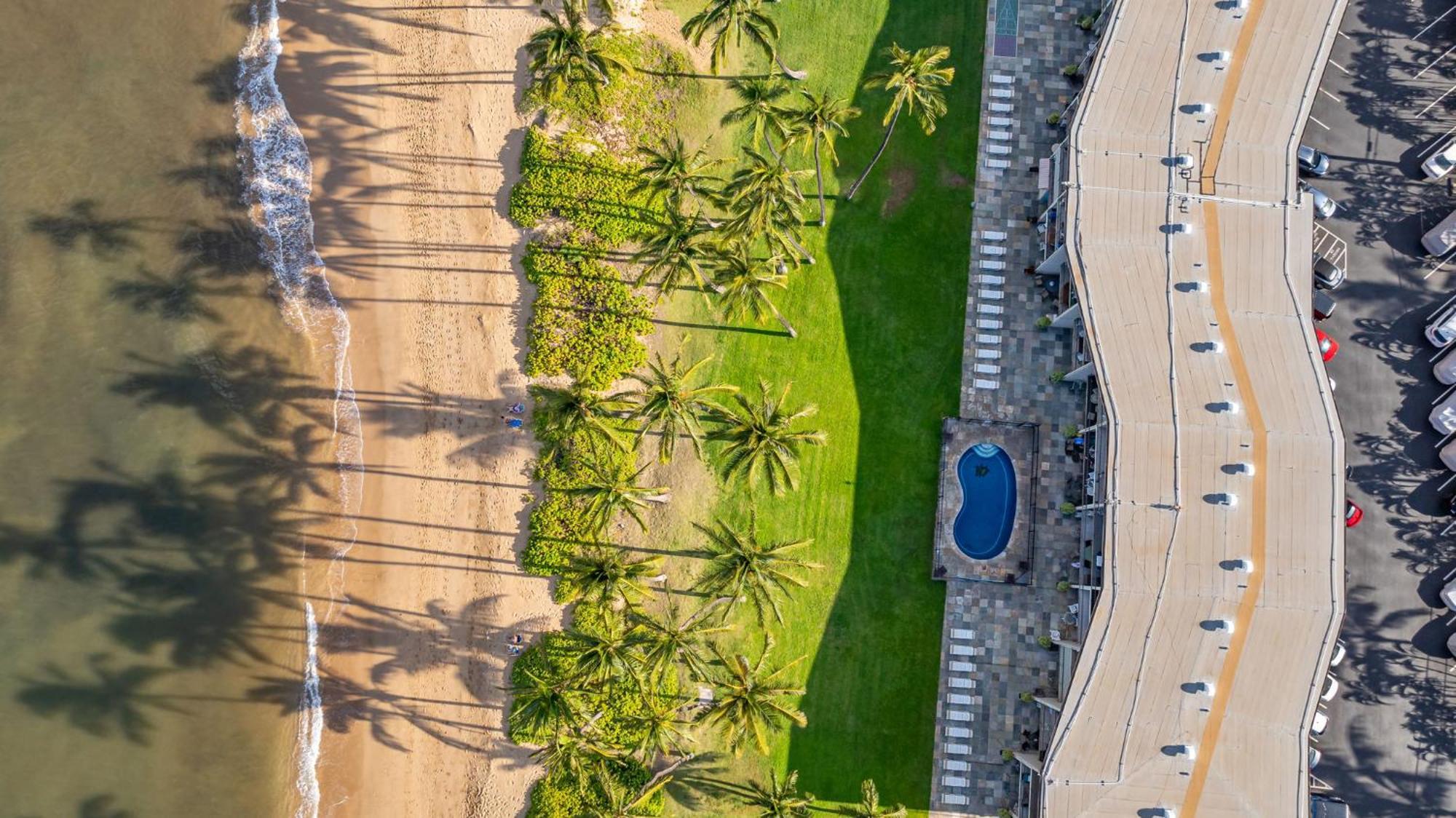Hale Kai O'Kihei 317 Apartment Exterior photo