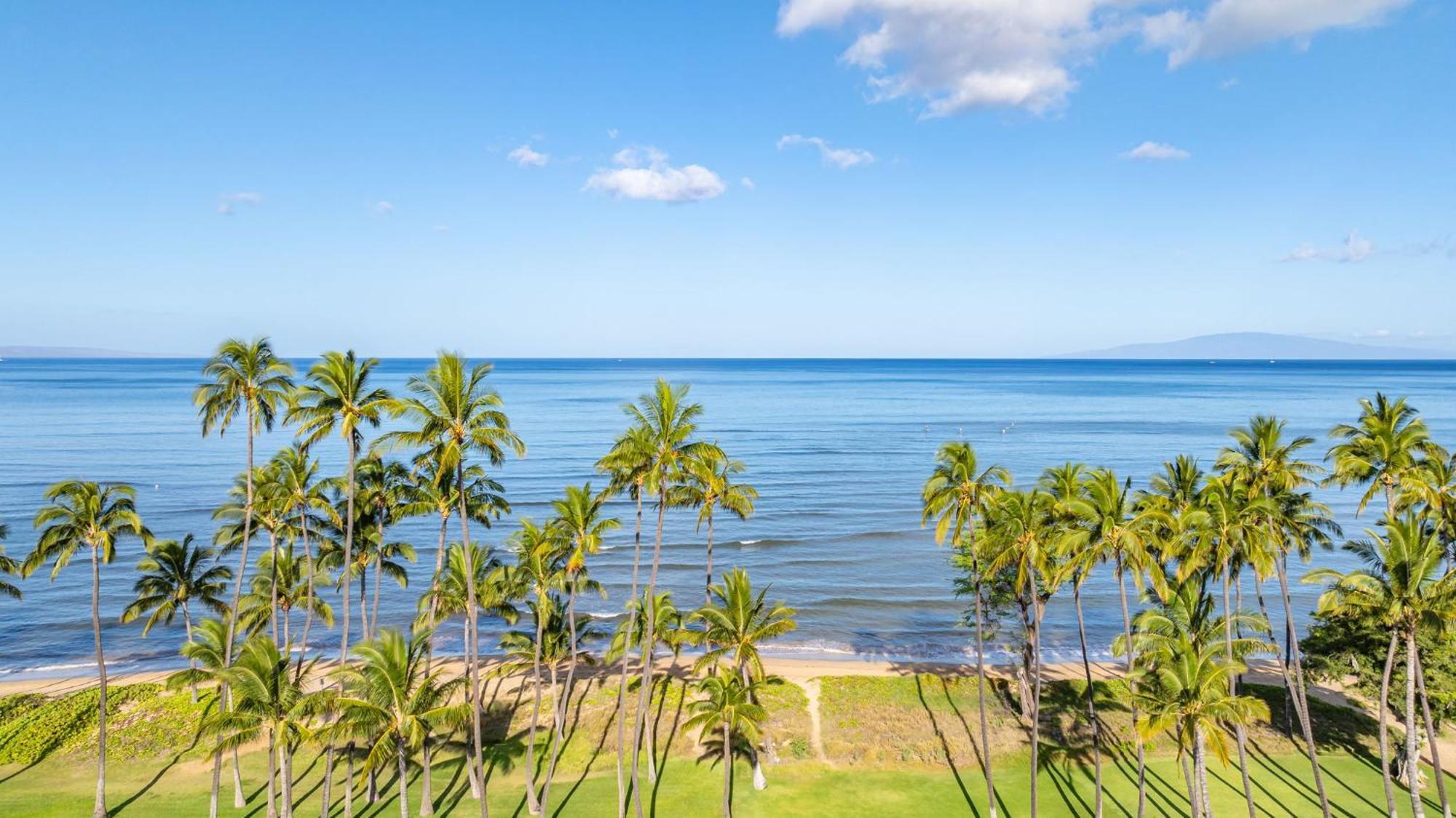 Hale Kai O'Kihei 317 Apartment Exterior photo