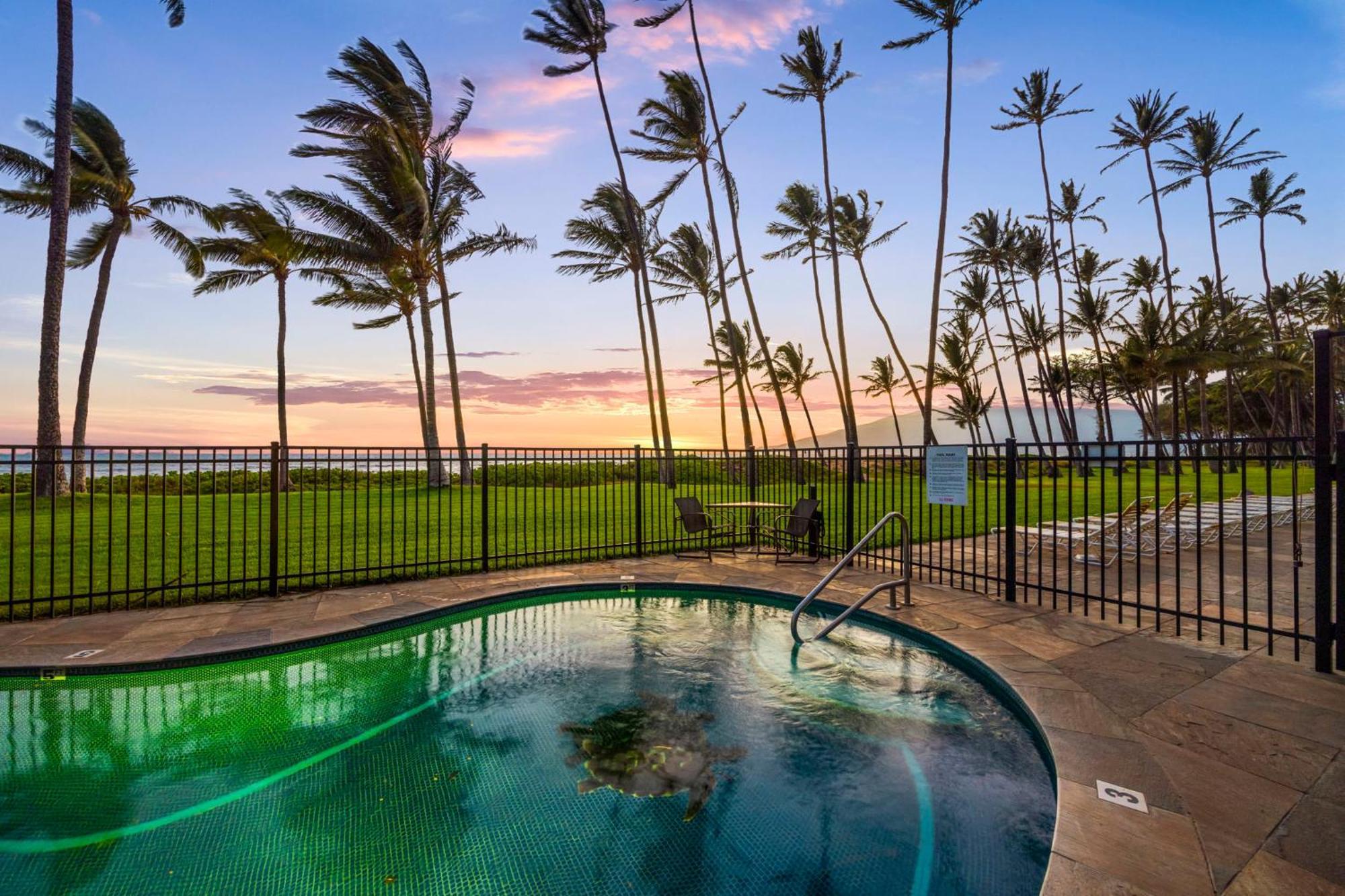 Hale Kai O'Kihei 317 Apartment Exterior photo